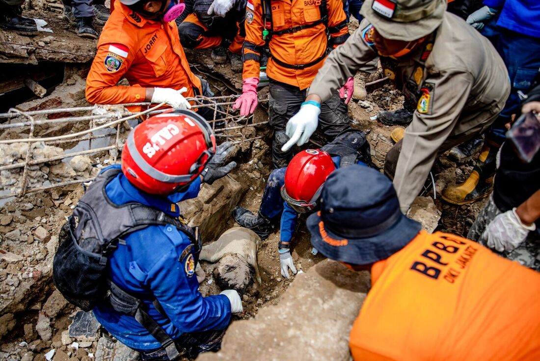 Chega a 310 total de mortos em terremoto na Indonésia