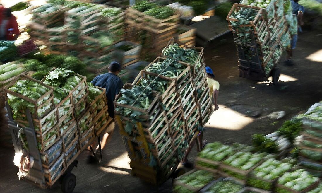 Alimentos perecíveis