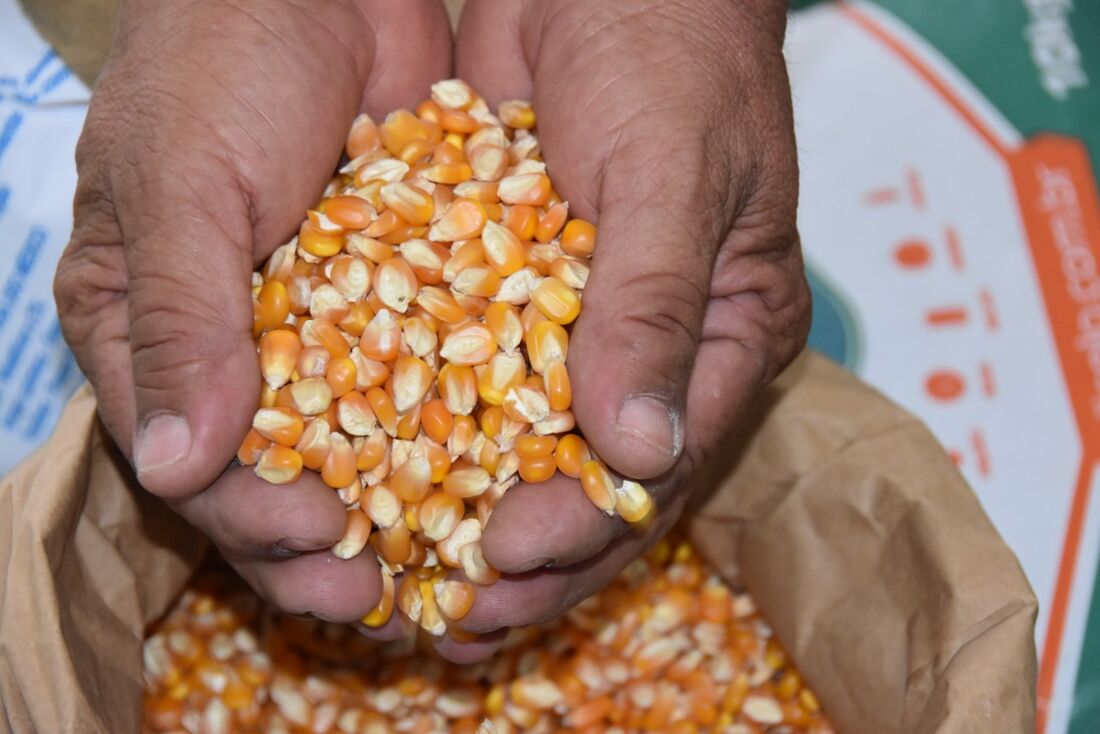 Com o intuito de fomentar a economia e incentivar a agricultura familiar em todo o estado, o Instituto Agronômico de Pernambuco (IPA), lanço mais uma edição do programa Campo Novo