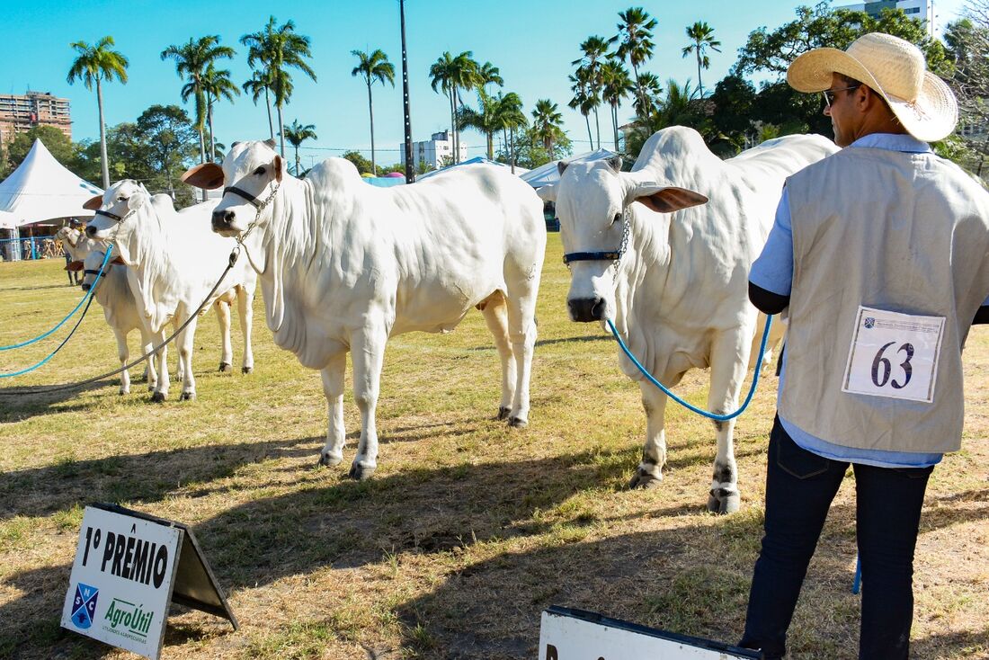 Exposição Nordestina de Animais e Produtos Derivados