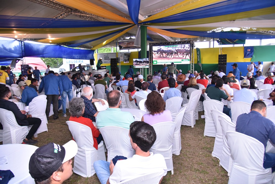 O Leilão da ExpoCarpina promete reunir cerca de 500 pessoas na sua nova edição