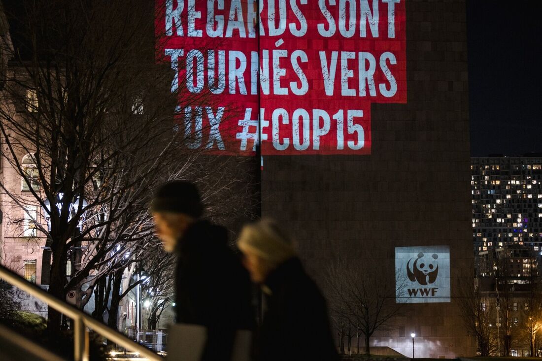 COP15: É "urgente agir" também pela biodiversidade, alerta ONU