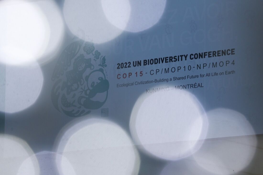 Países ricos sob pressão para criar novo fundo de biodiversidade na COP15