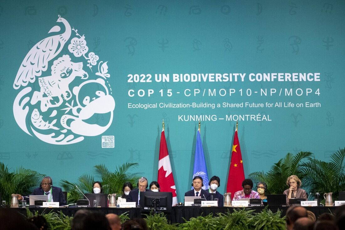 Principais objetivos do acordo Kunming-Montreal sobre biodiversidade