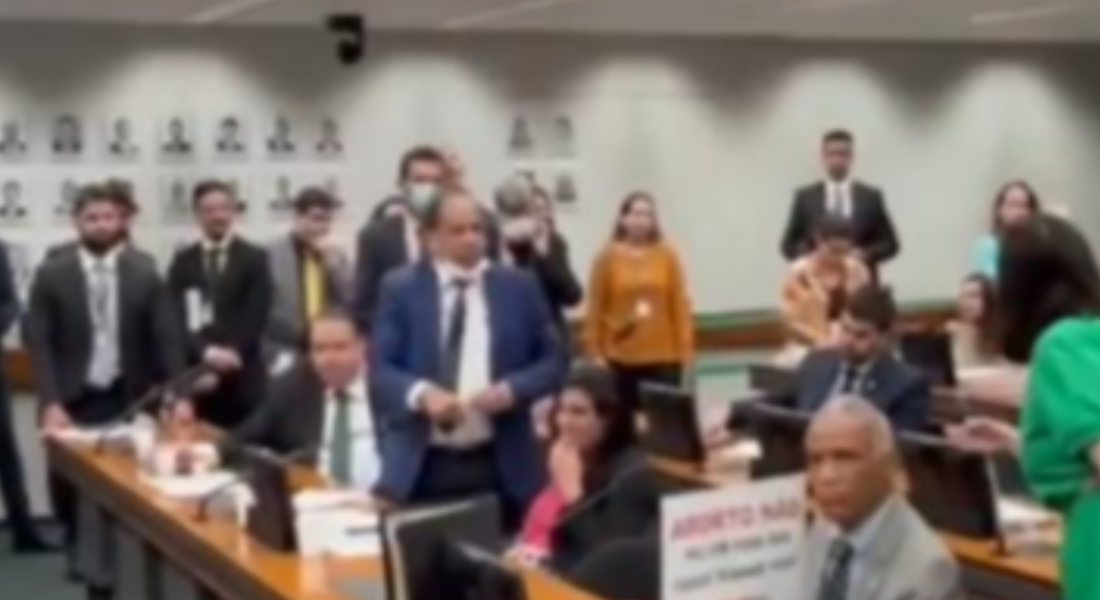 Votação do Estatuto do Nascituro na Comissão da Mulher da Câmara dos Deputados,