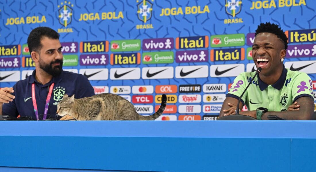 Gato que apareceu em entrevista de Vini Jr. vira mascote da seleção e recebe nome de "Hexa"