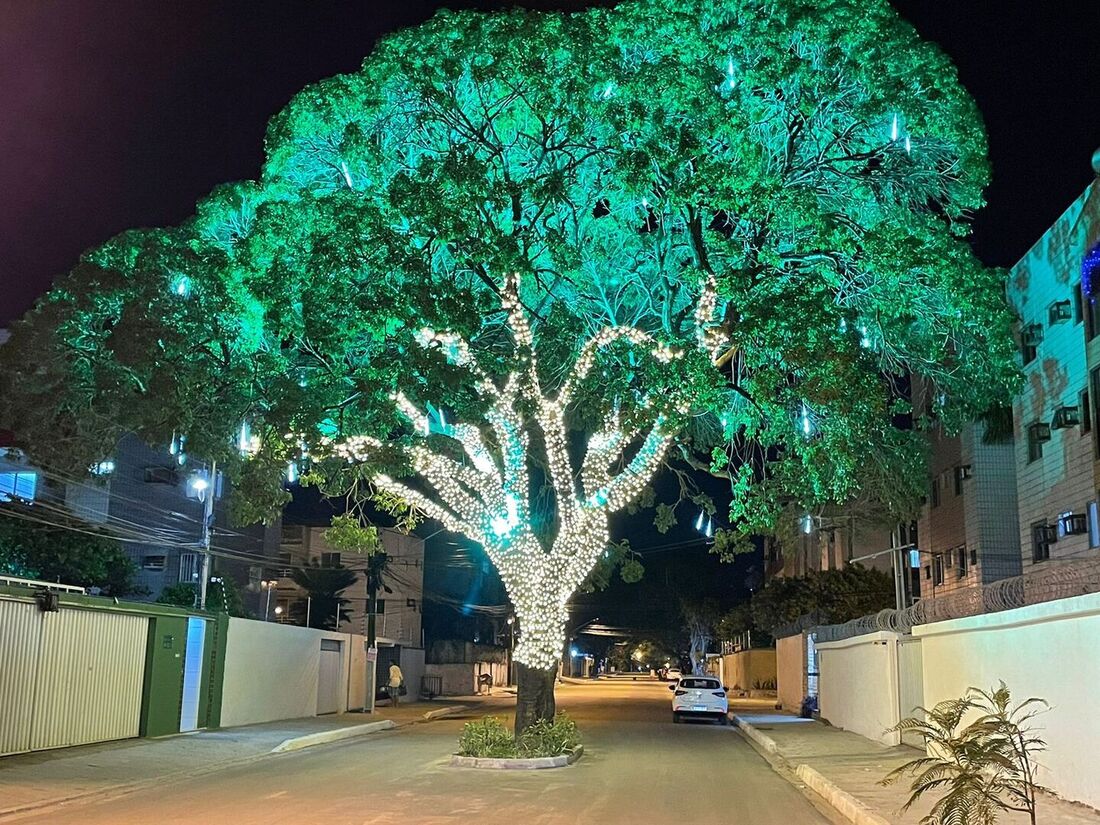 Rua da Árvore, em Candeias