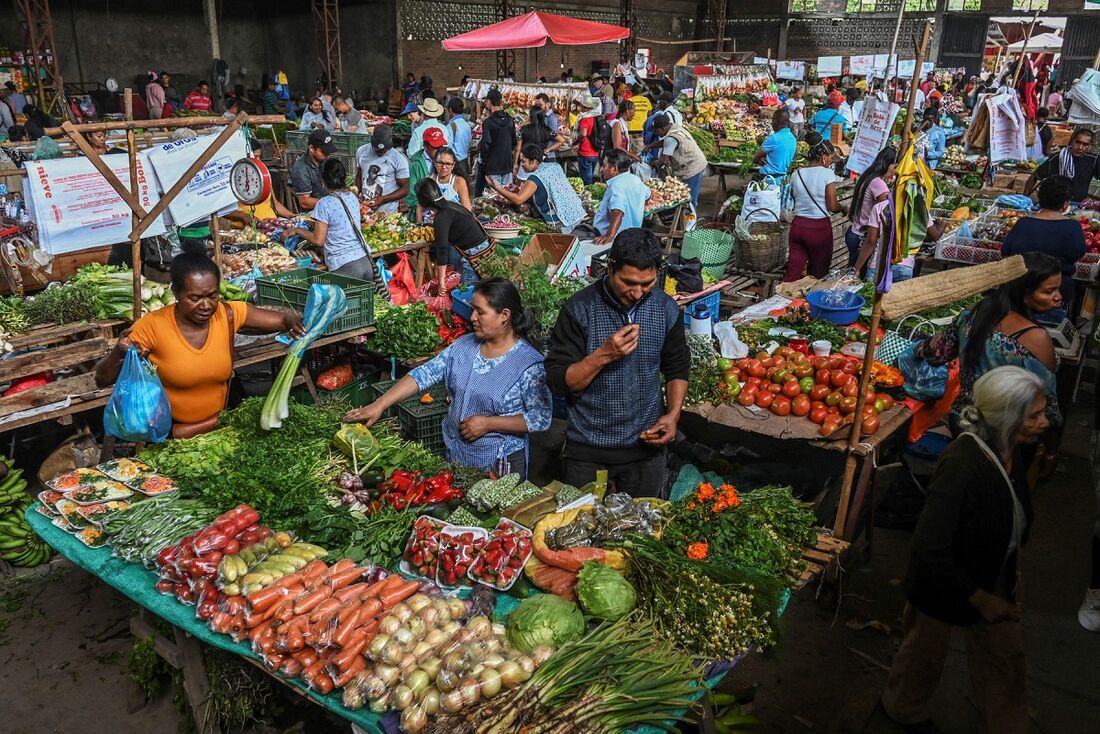 Custo de alimentação saudável na América Latina é o mais alto do mundo, diz ONU