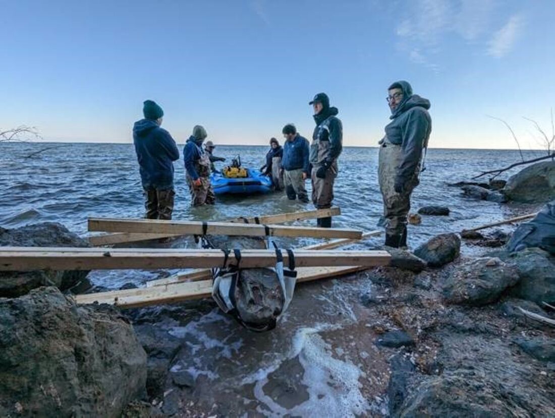 Membros do museu recuperando o crânio de baleia de 12 milhões de anos que foi encontrado ao longo de Calvert Cliffs em Maryland