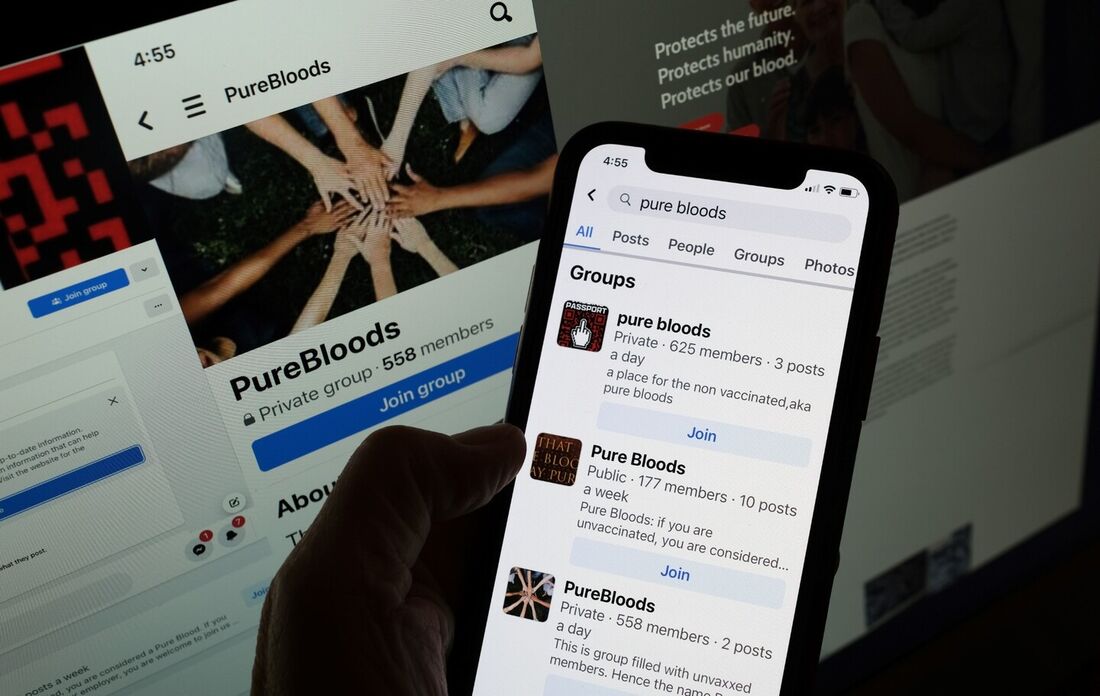 Pessoa olha para sites do movimento anti-vacina "sangue puro" e grupos do Facebook em Los Angeles, 20 de janeiro de 2023