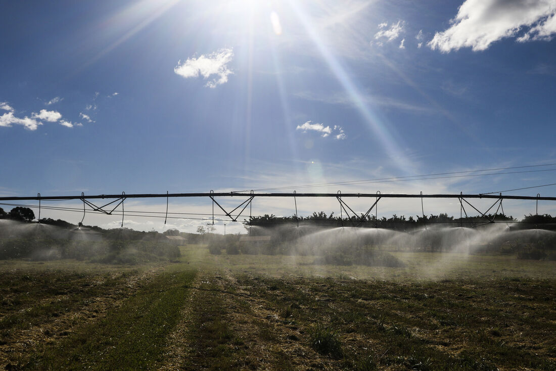 Cenário do agronegócio em Pernambuco depende de fator climático e desempenho das produções