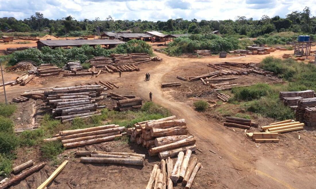 Terra Indígena Yanomami, em Roraima