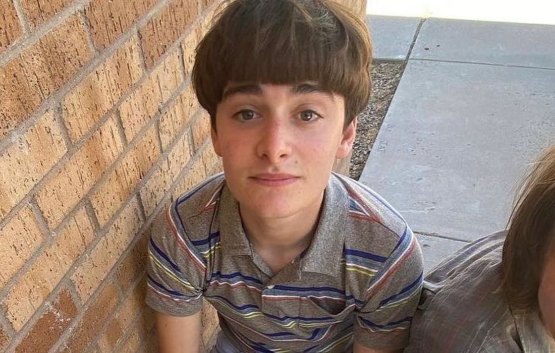 Noah Schnapp, de 'Stranger Things', revela ser gay pelo Tiktok