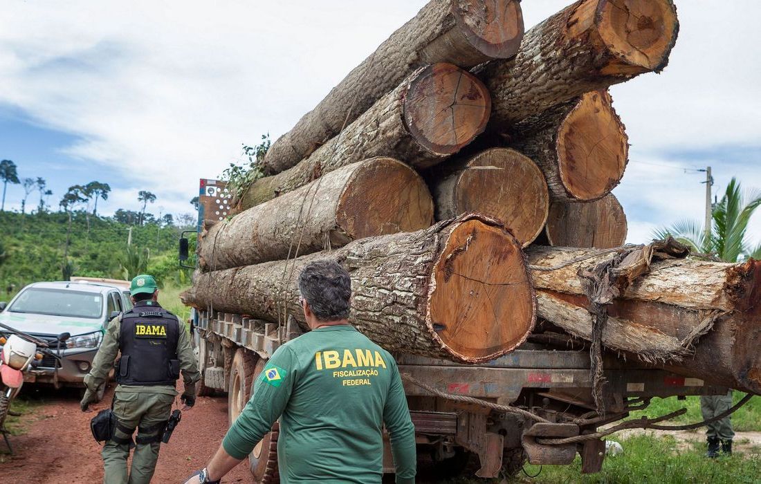 Ibama: Grupo vai fiscalizar fraudes em sistemas de controle florestal