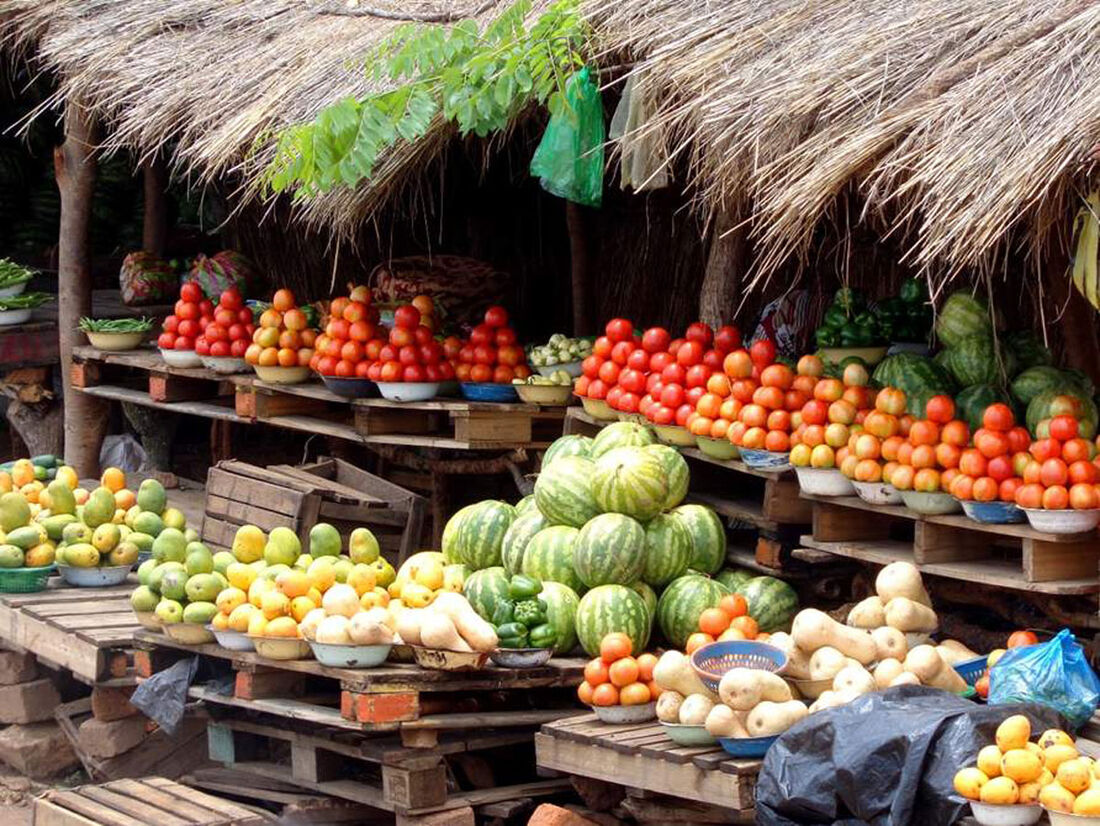 Nutricionista diz quais as frutas mais acessíveis para ajudar na hidratação e eliminação de toxinas