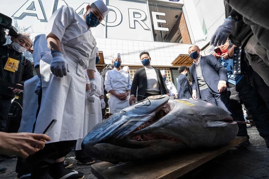 Chefes de cozinha observam o peixe comprado no início do dia por mais R$ 1,4 milhão no primeiro leilão de atum do Ano Novo 