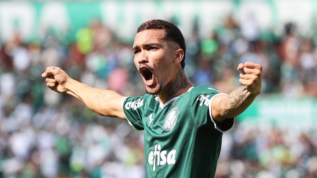 Resultado da final da Copinha; veja placar de Palmeiras x América-MG -  Lance!