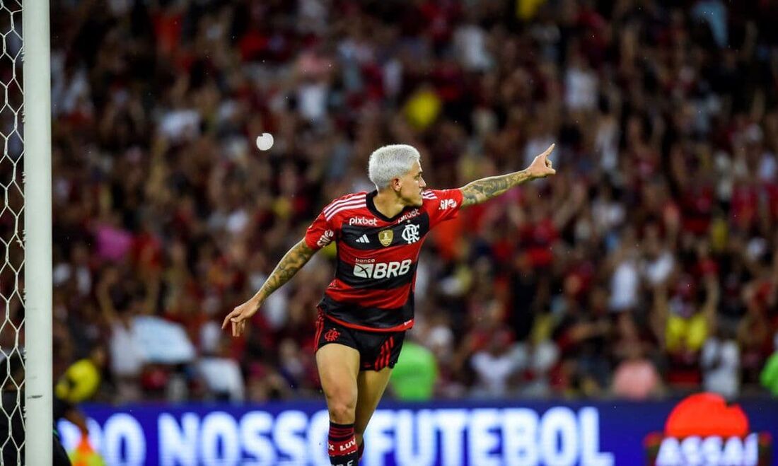 Pedro fez o gol da vitória do Flamengo