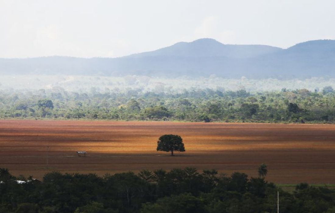 Área de cerrado desmatada para plantio no município de Alto Paraíso (GO)