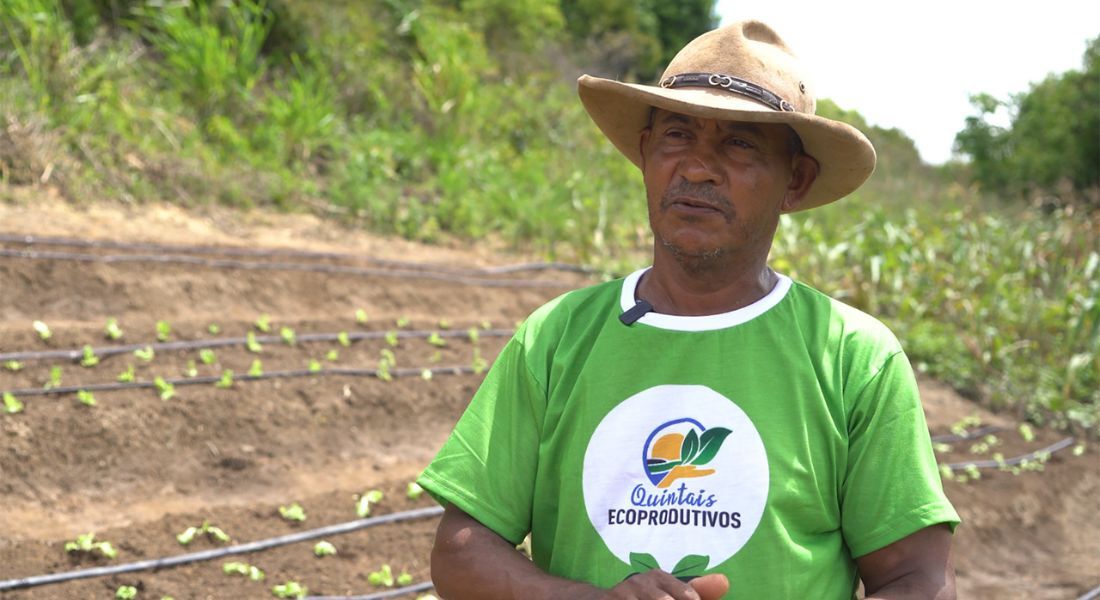 O projeto Quintais Ecoprodutivos foi lançado em outubro de 2021 com a finalidade de incentivar a produção de alimentos e gerar renda para famílias em situação de vulnerabilidade social