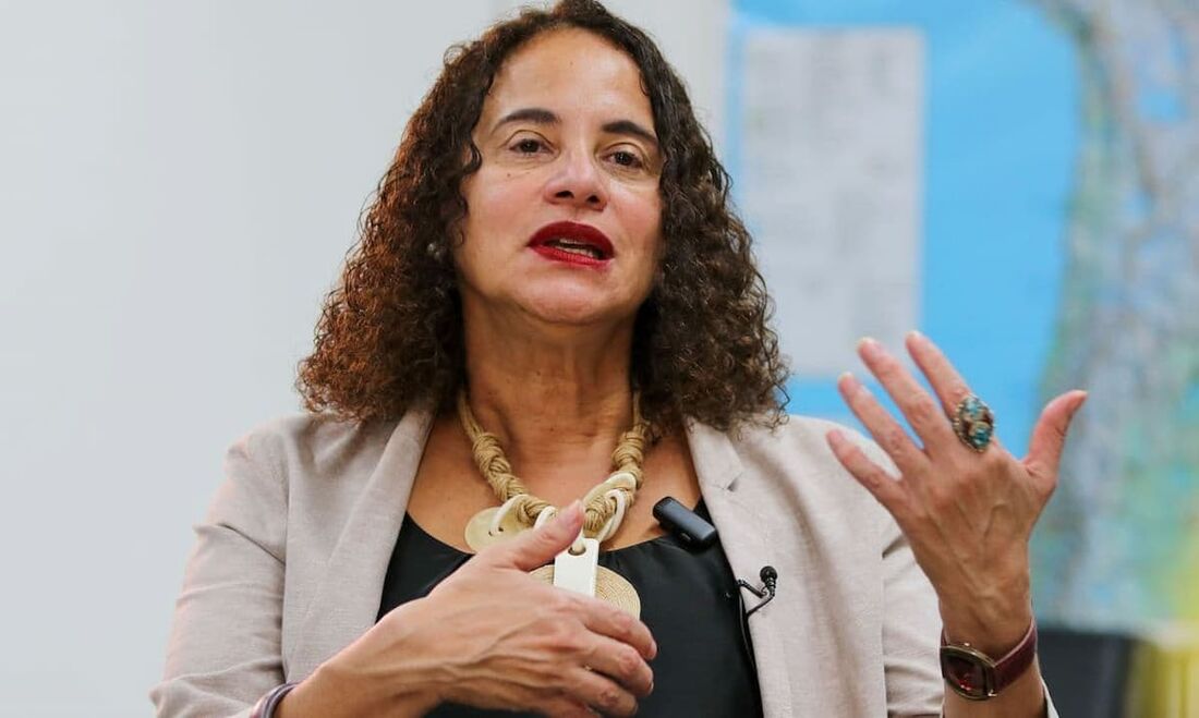 Luciana Santos  destacou que as universidades e instituições públicas de pesquisas são responsáveis por cerca de 90% dos estudos desenvolvidos no Brasil e isso precisa ser valorizado