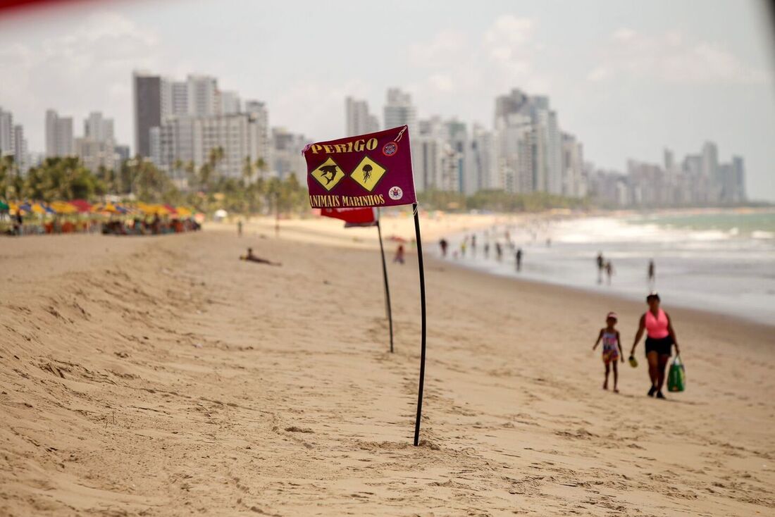 Movimentação baixa na praia de Piedade um dia após adolescente ser mordido por tubarão