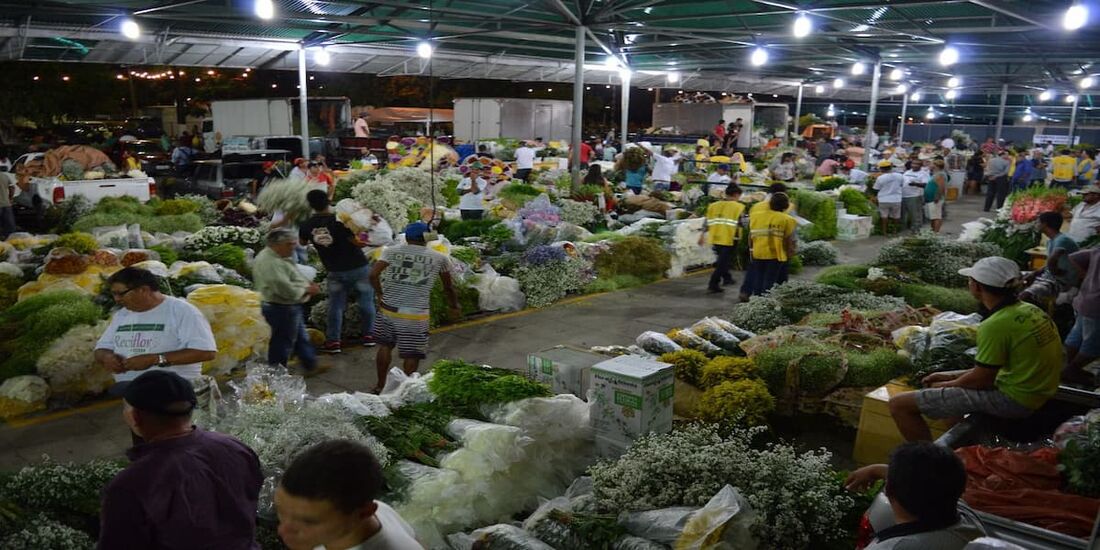 Evento oferece flores de mais de100 produtores pernambucanos, sem atravessadores