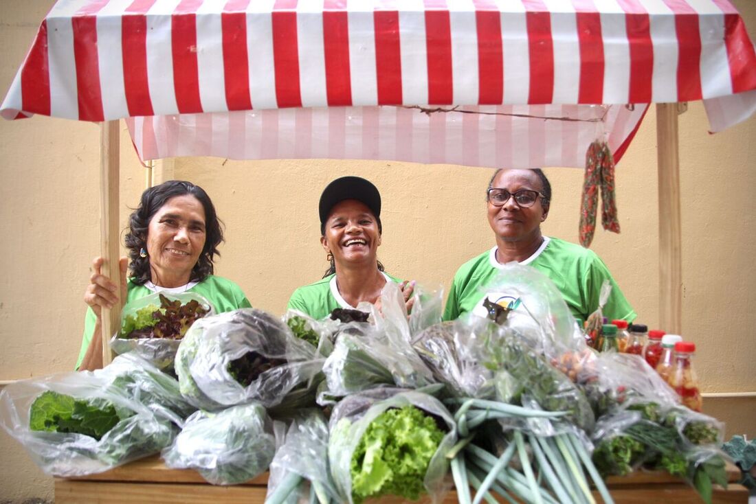 Projeto de quintais ecoprodutivos dialoga com o combate à fome e à desnutrição das famílias