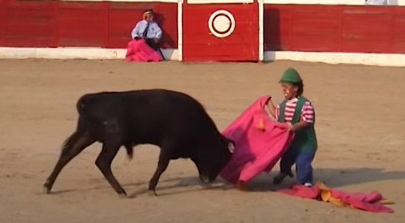 Toureiro anão e integrante dos Enanitos Toreros em ação durante espetáculo. 