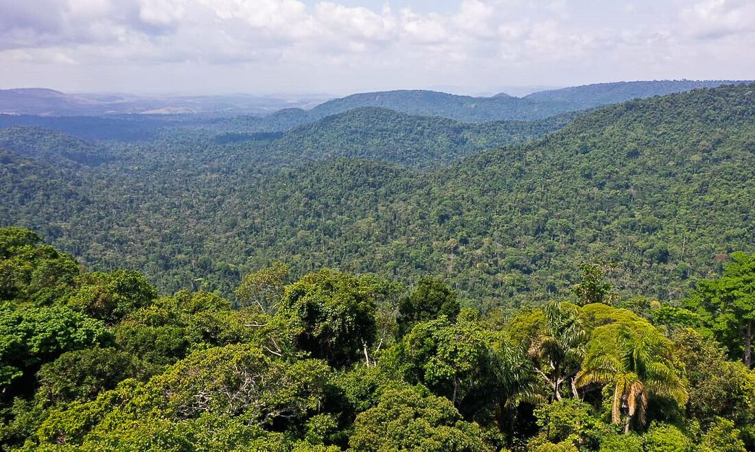 Fundo investe em ações de combate ao desmatamento e de promoção da sustentabilidade na Amazônia