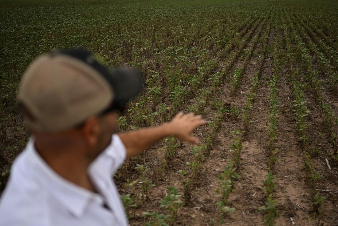 Argentina sofre perdas milionárias no campo devido à sua pior seca