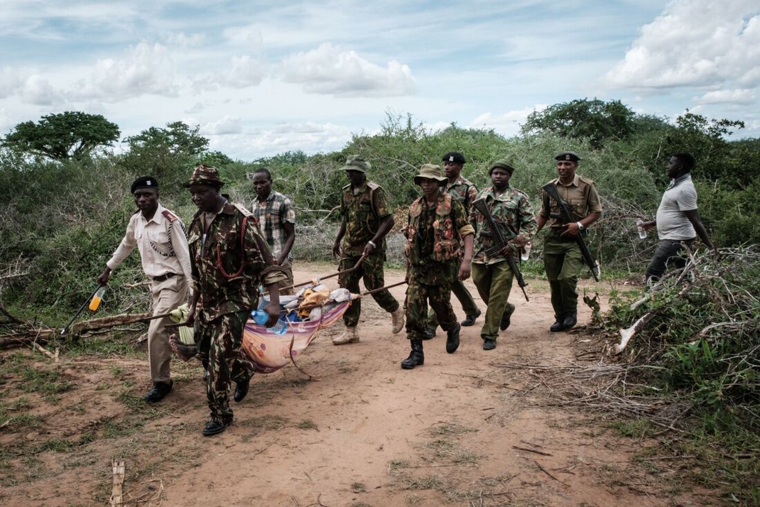 Agentes de segurança carregam jovem resgatado da floresta em Shakahola, nos arredores da cidade costeira de Malindi. Segundo policiais, um culto religioso está sendo investigado porque seguidores teriam morrido de fome.