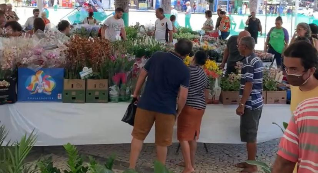 Festival das Flores de Holambra