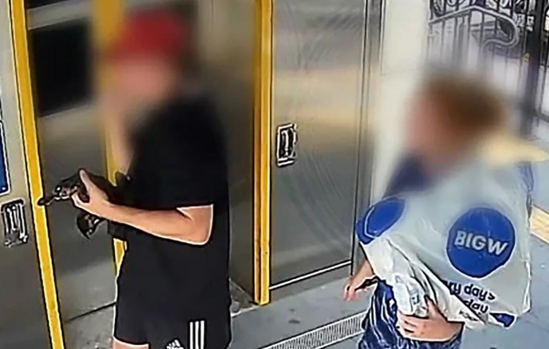 Jovem é indiciado na Austrália por levar ornitorrinco de trem para shopping