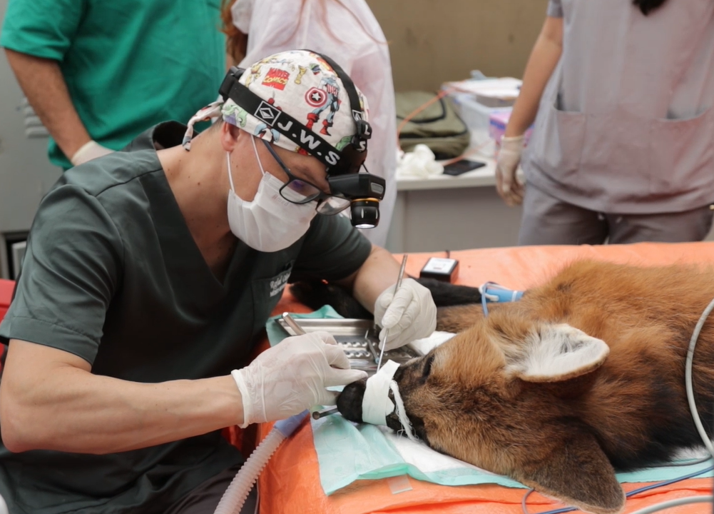 O atendimento faz parte do programa de saúde preventiva