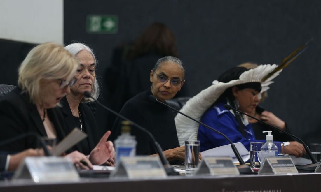 Na palestra, a ministra também falou sobre o trabalho de retirada de garimpeiros ilegais das terras indígenas