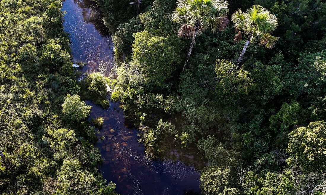 No Parque Nacional da Chapada dos Veadeiros, em Goiás, o ICMBio flagrou construções irregulares em uma ocupação.