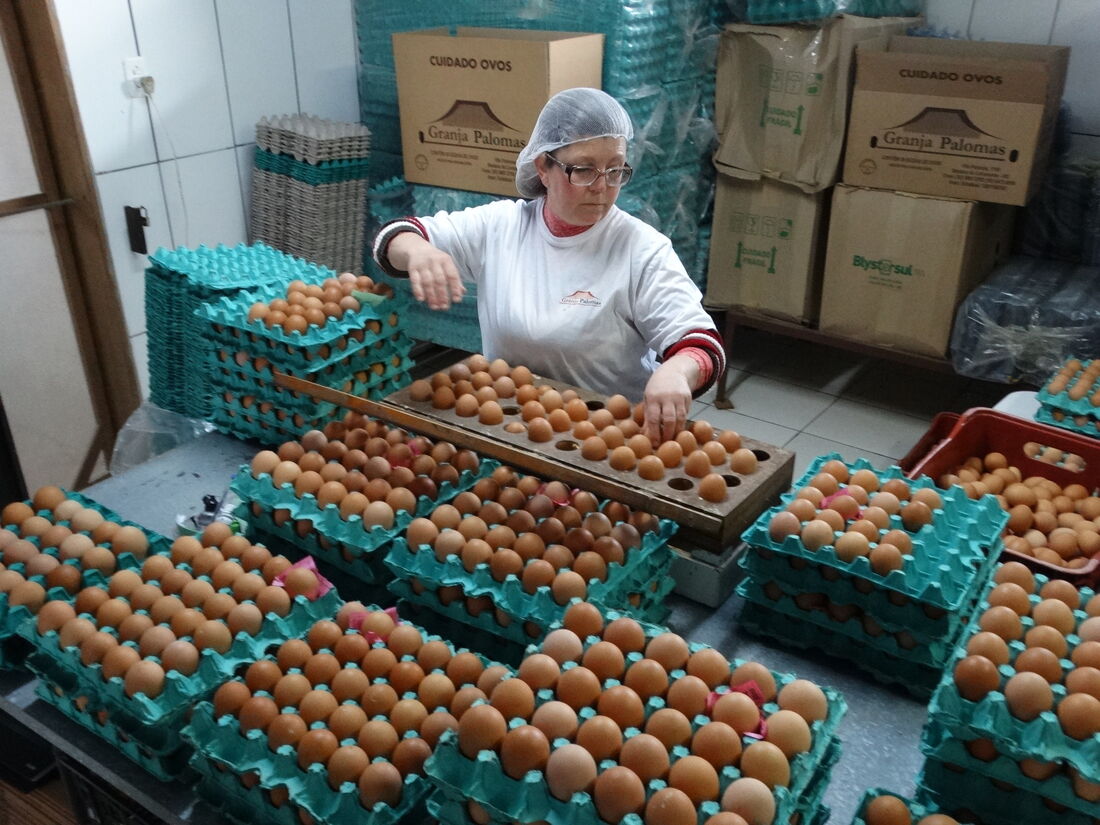 O Estado exporta ovos e gemas, frescos, desidratados ou preservados, na temperatura exigida pelos compradores internacionais