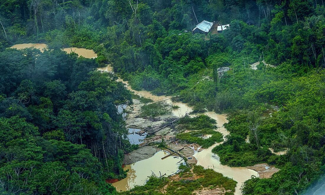 Terras Yanomami