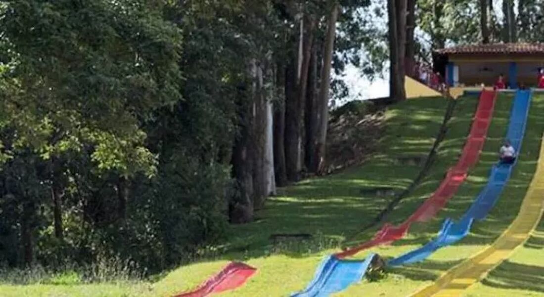 Vítima estava em alta velocidade e por isso não conseguiu parar a tempo.