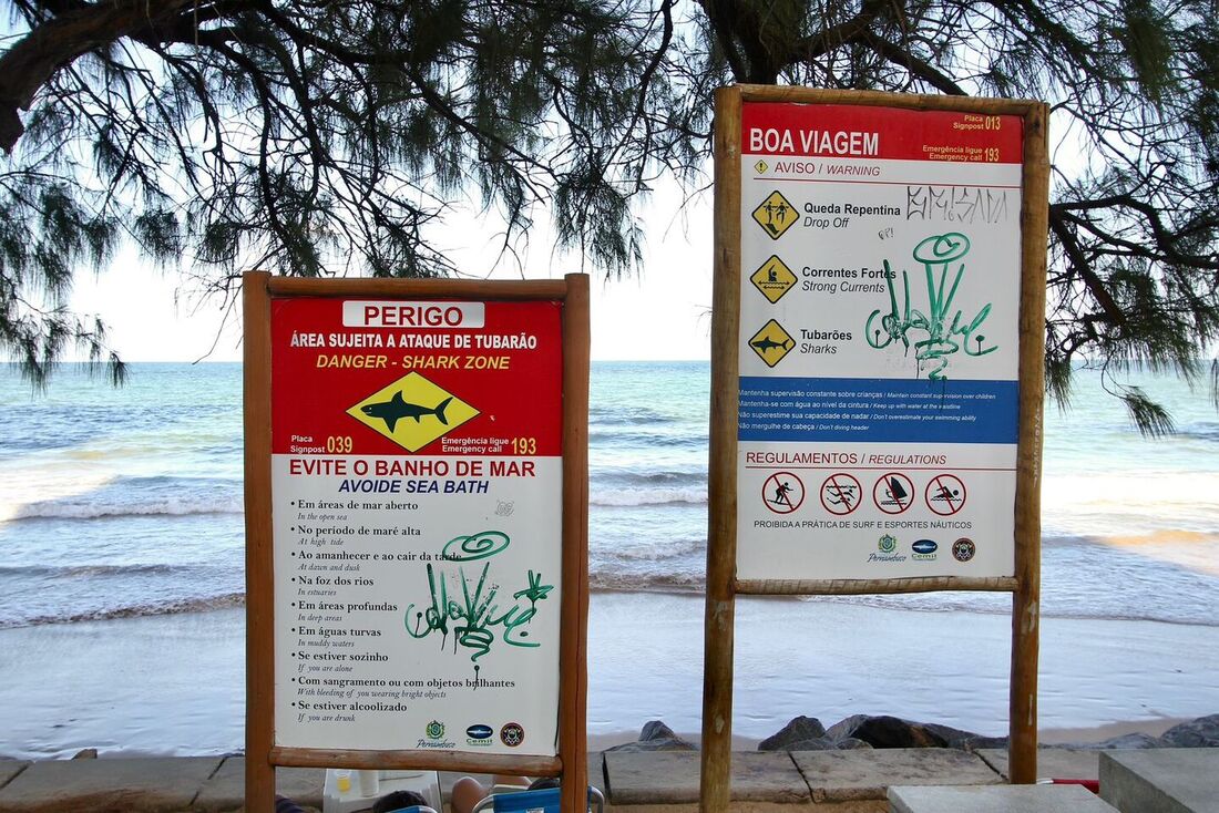 Placas de sinalização instaladas na Praia de Boa Viagem, na Zona Sul do Recife