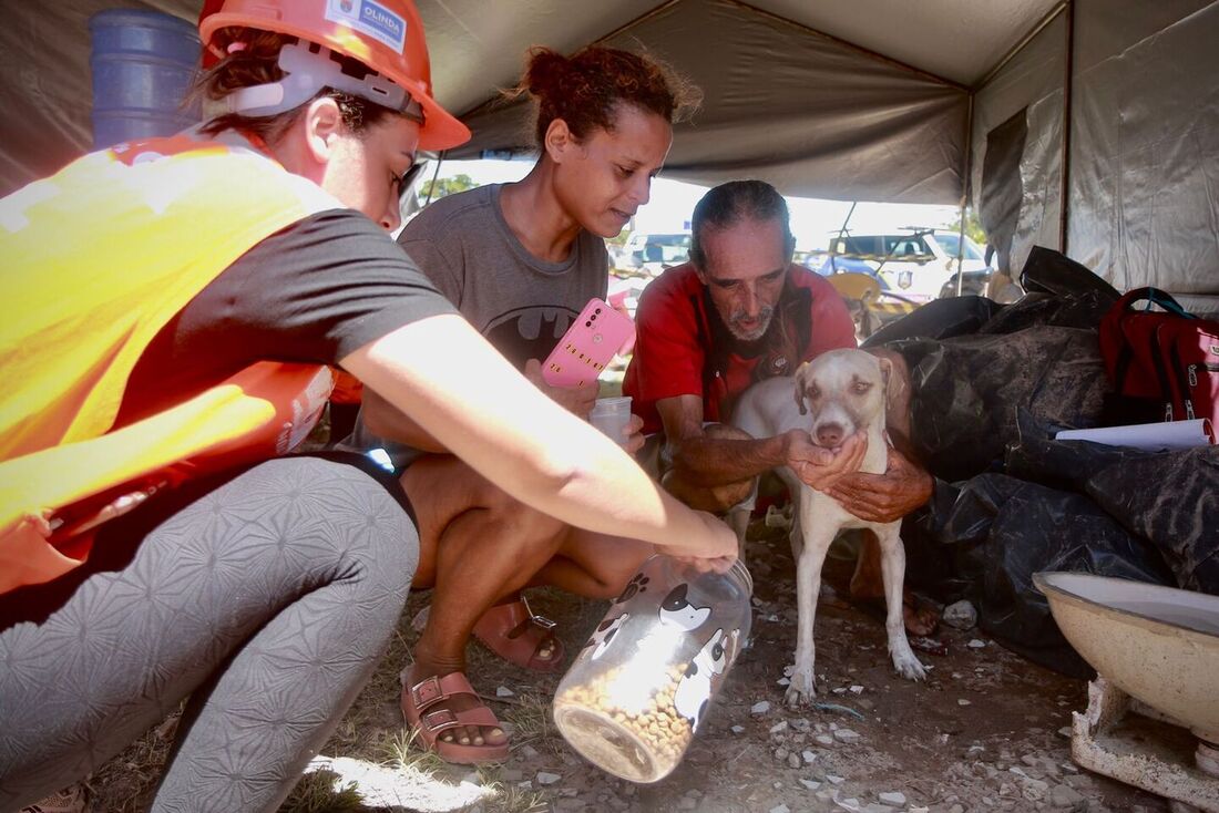 Corpo de Bombeiros resgata um dos cachorros que estava preso no primeiro andar do Edifício Leme