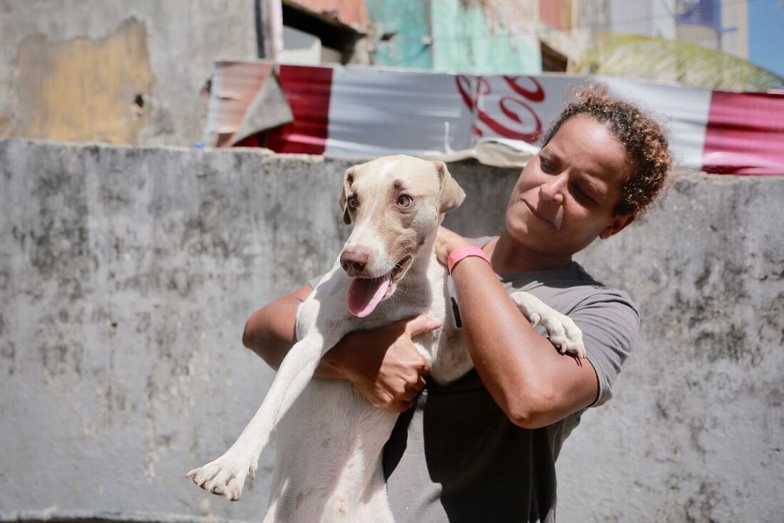 Marley é devolvido à sua dona, Camila