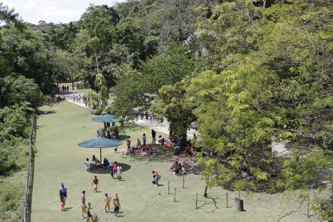 Trilhas na mata, jogos educativos, pinturas corporais e circuitos de atividades fazem parte da programação do Parque Dois Irmãos neste feriado.