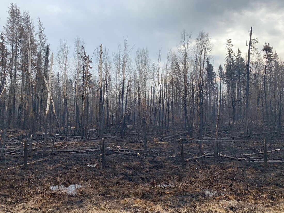 Incêndios florestais diminuem lentamente no oeste do Canadá