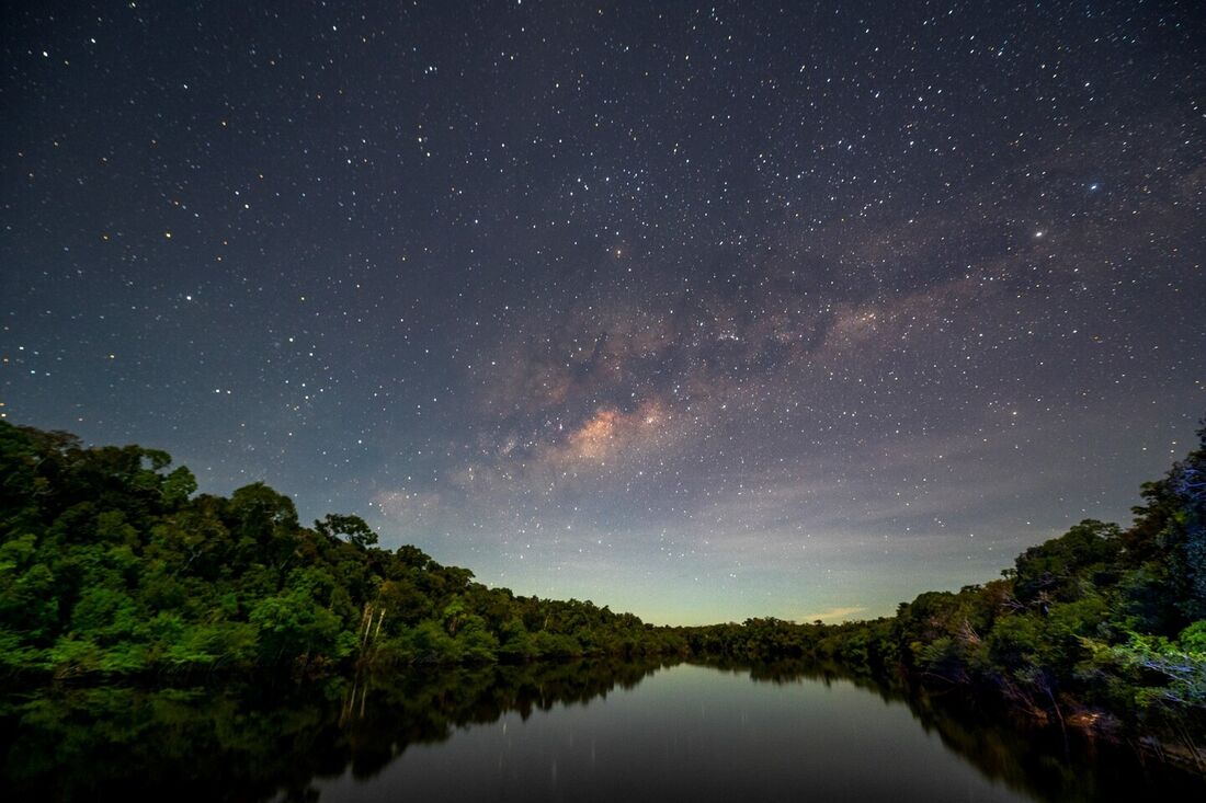 O desmatamento na Amazônia brasileira em abril caiu 168% em relação ao mesmo mês do ano passado, segundo dados oficiais, que representam o melhor resultado desde o início do mandato de Lula da Silva. 