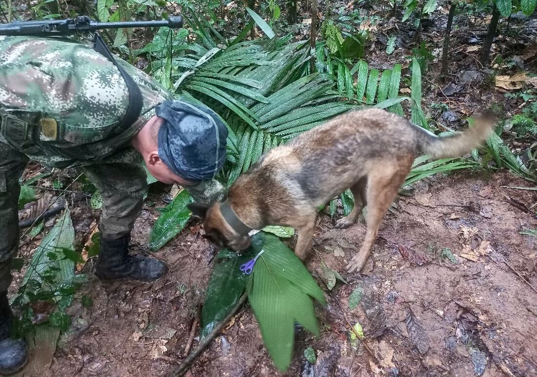 Buscas por crianças desaparecidas na Amazônia colombiana