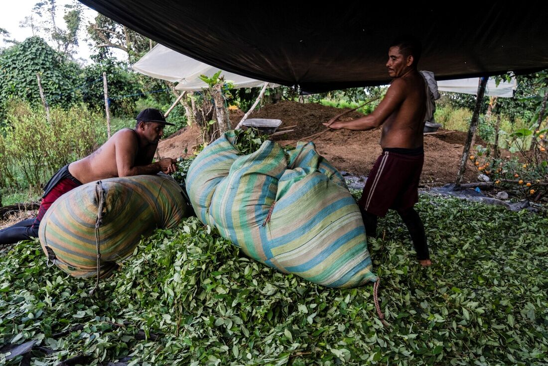 País vive crise no mercado de cocaína