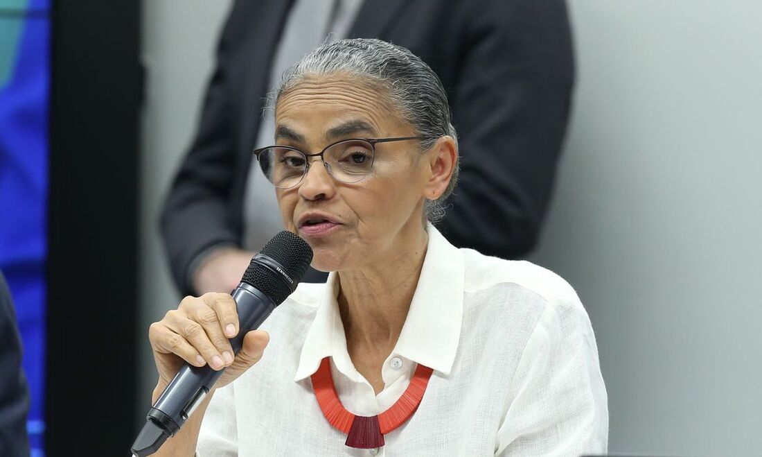 Ministra do Meio Ambiente, Marina Silva