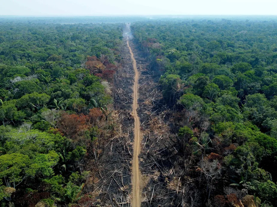 Rota do desmatamento em Humaitá, no Amazonas 